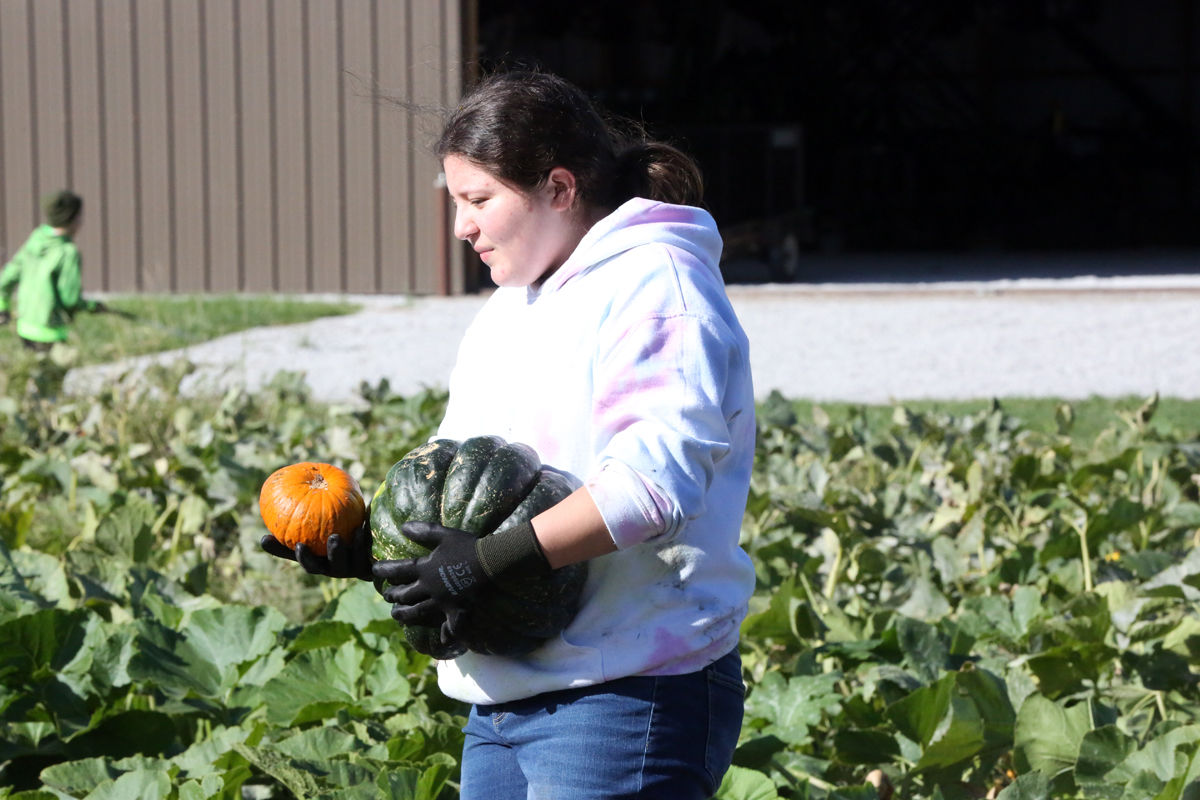 St Joseph Pumpkin Patch (22).jpg